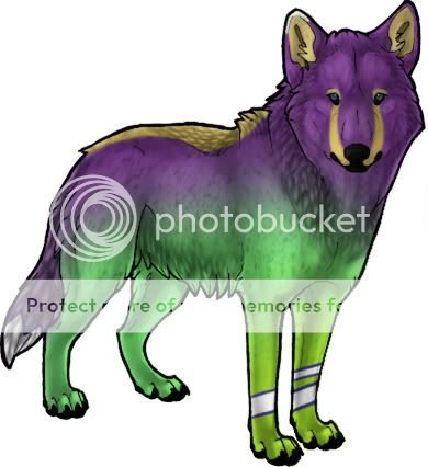 User Image